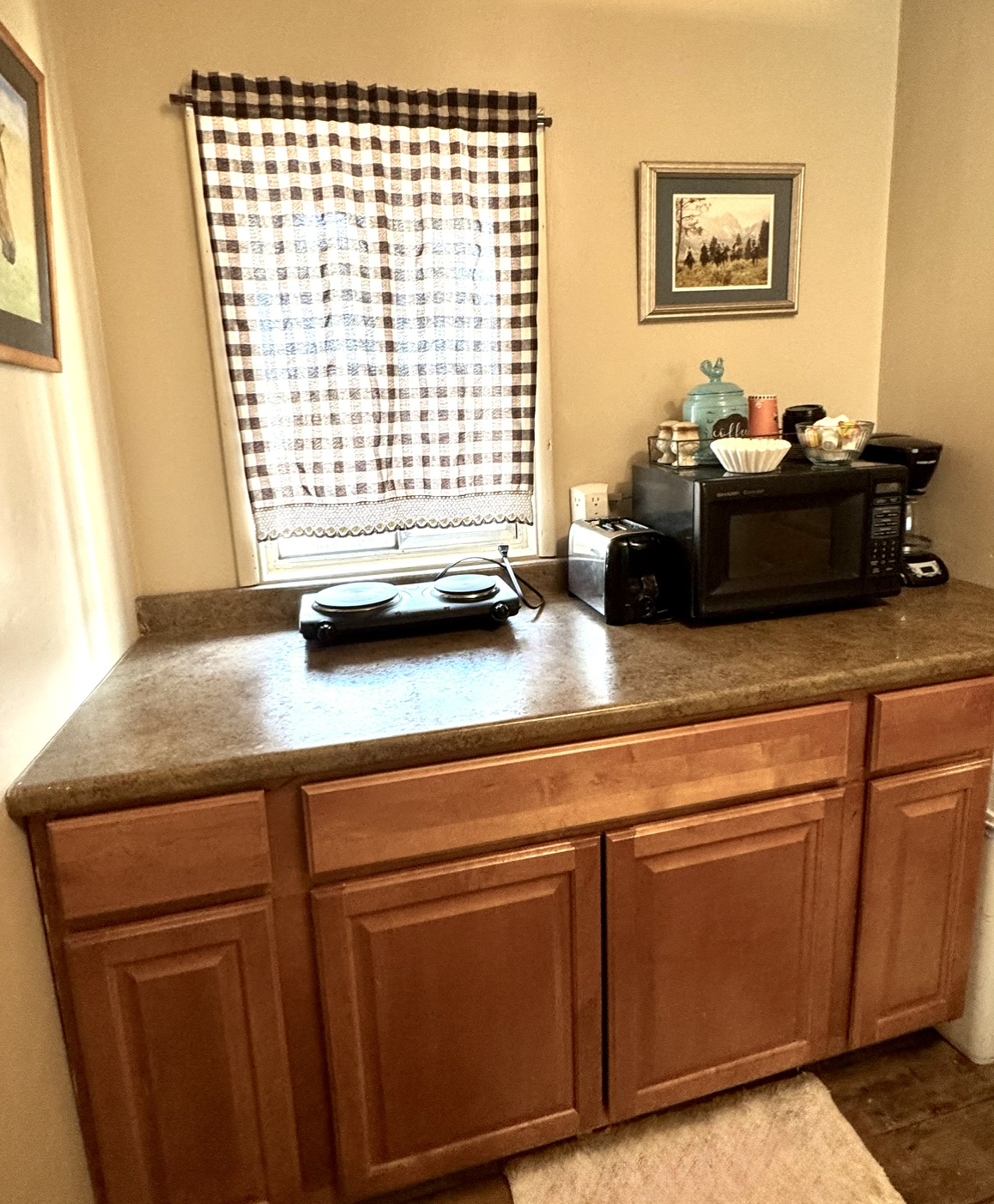 moms cabin kitchen