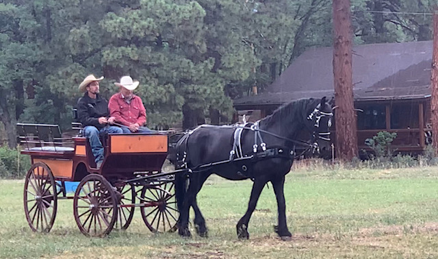 eddie pulling the carriage