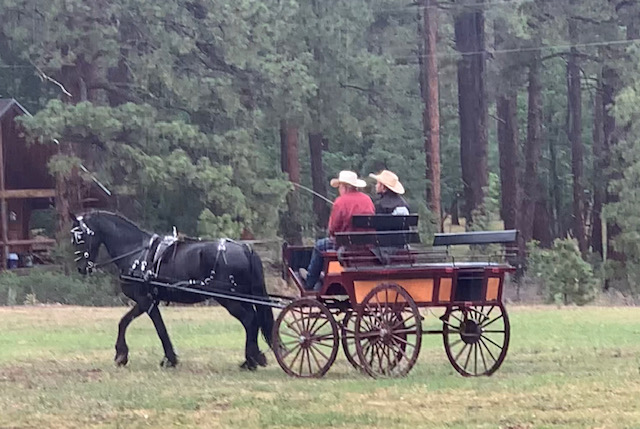 eddie pulling the carriage