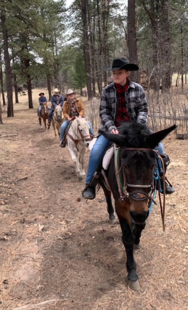 horseback riding