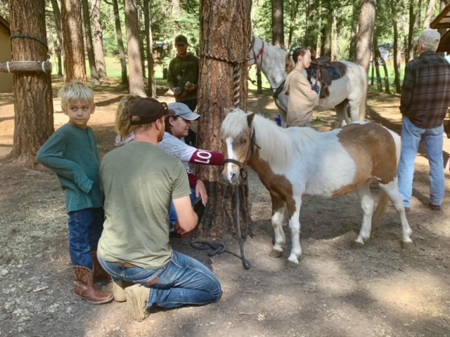 buckaroo interaction with pony