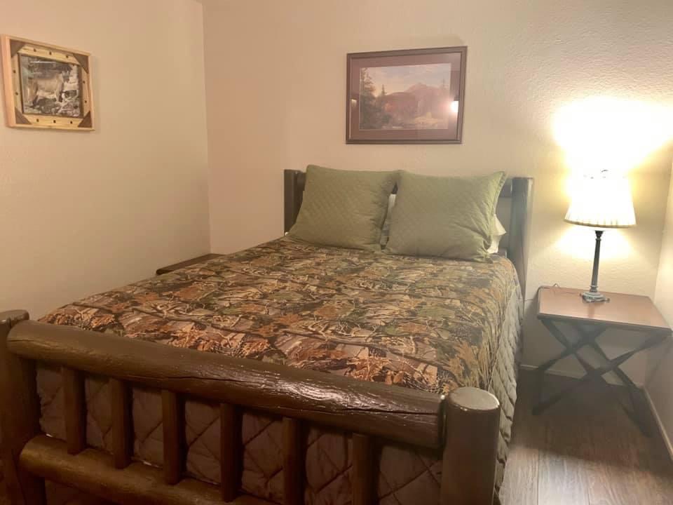 Lion Around Room
