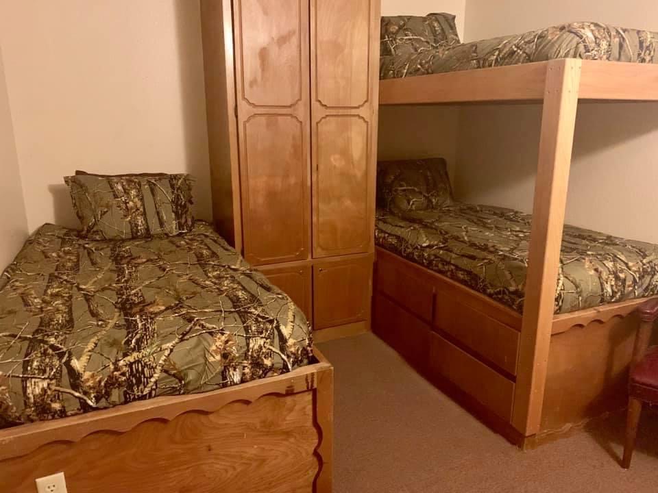 Lion Around Room